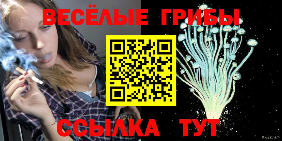 Галлюциногенные грибы мицелий  Вход с VPN  Галлюциногенные грибы мицелий  Альметьевск 